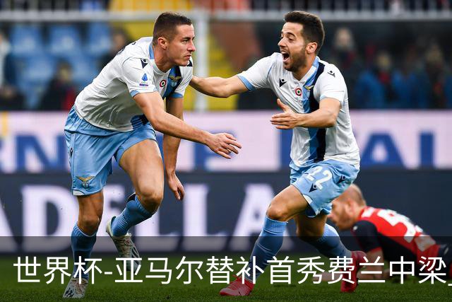 世界杯-亚马尔替补首秀费兰中梁 西班牙27射0-0佛得角
